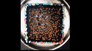 Death by chocolate cake | Easy cake | homemade death by chocolate cake | very soft cake |