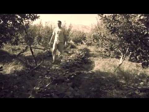    كمال ابوسعده بعيد المدى   