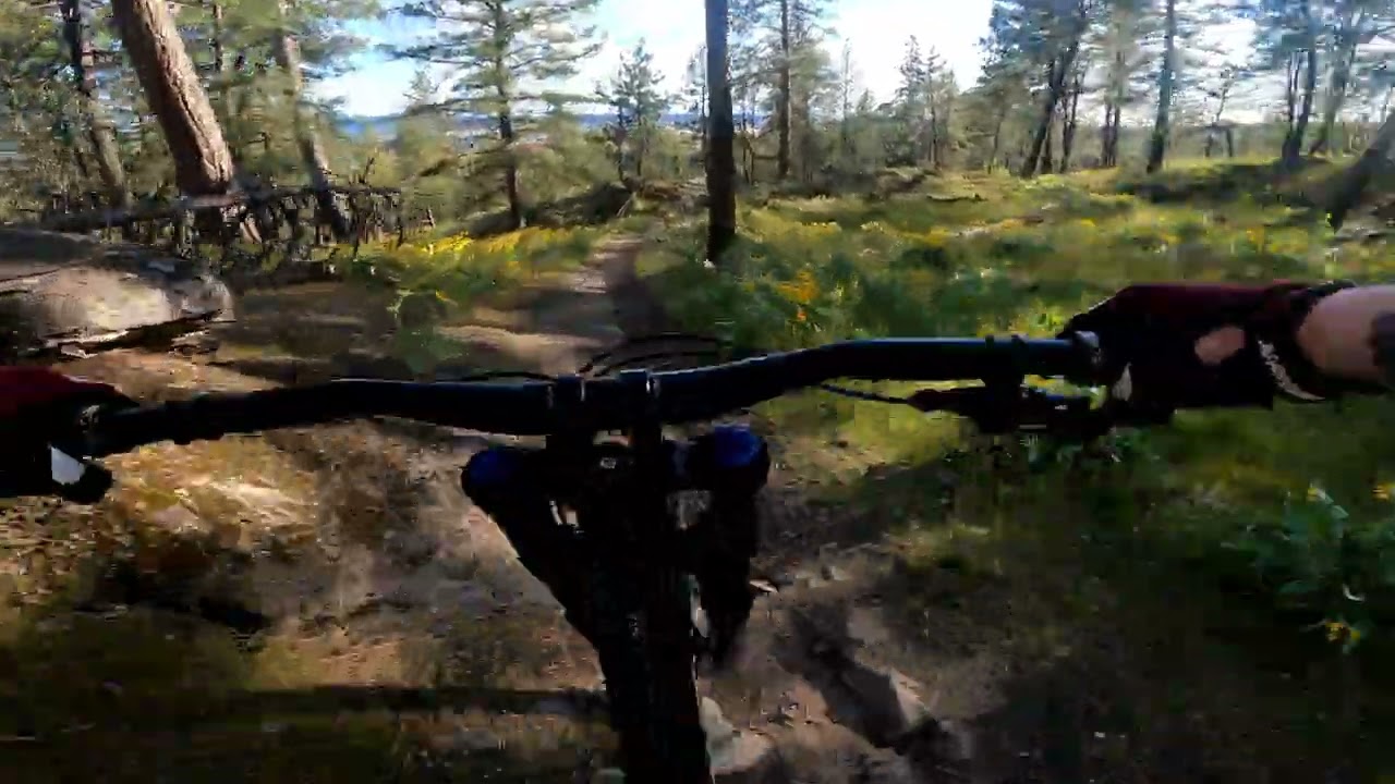 Bomber - Camp Sekani Park (First Look)