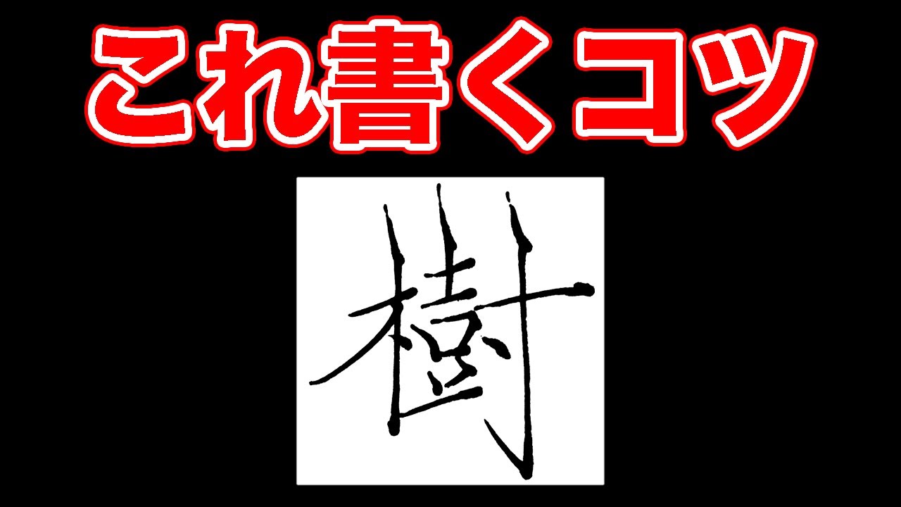 書道 『樹』 樹』#shorts #書道 #書画動画 #calligraphy #美文字