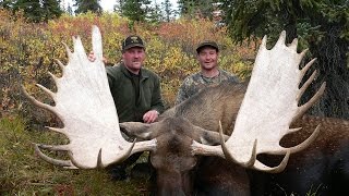 Monster 70inch Alaska bull moose and dall sheep hunt