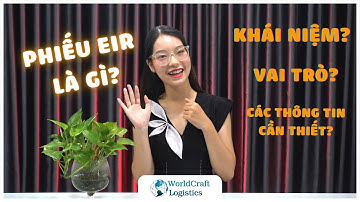 EPISODE 73 - KHÔNG CÓ PHIẾU NÀY THÌ KHÔNG LẤY HÀNG RA ĐƯỢC?