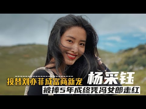 力捧“干女儿”刘亦菲20年后，陈金飞为何又娶了，小30岁杨采钰？