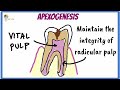 Pediatric dentistry  apexogenesis