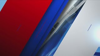7 dogs found abandoned, one dead in boat in the Illinois River