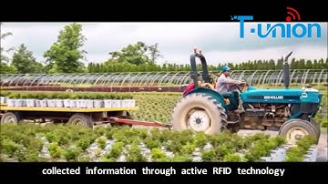 RFID Temperature Active Tags For Detecting Temperature