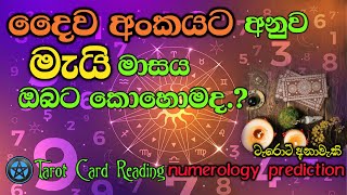 දෛව අංකයට අනුව මැයි මාසය ඔබට කොහොමද.?| May Numerology Predictions | Sinhala Tarot Card Reading