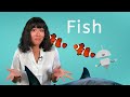 Fish - Biology for Teens!