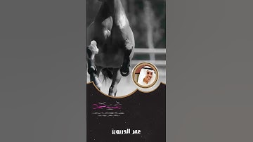 ﴿وَالْعَادِيَاتِ ضَبْحًا﴾ القارئ عمر الدريويز