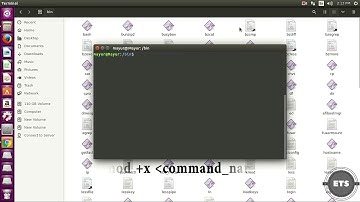 How to create own command in linux