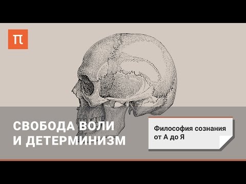 Философия сознания: Свобода воли и детерминизм