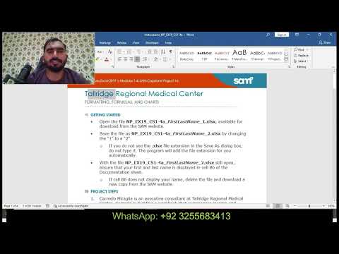 New Perspectives Excel