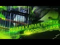 Suara Kapas Tembak Gundul Gacor Juara Digantangan Mp3 - Mp4 Download
