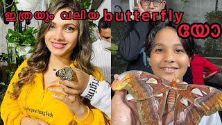 Dubai butterfly garden | World’s Largest Butterfly garden | UAE | Tourism best place in Dubai screenshot 5