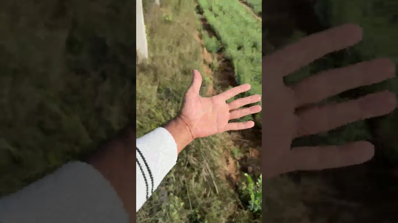 DLS News is live | vlog 20 January 2026