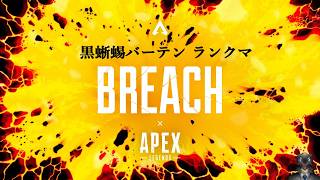 【のんびりランクマ】APEX LEGENDS  【参加歓迎】