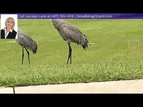 6201 Virginia Anne Lane, Mount Dora, FL home video tour