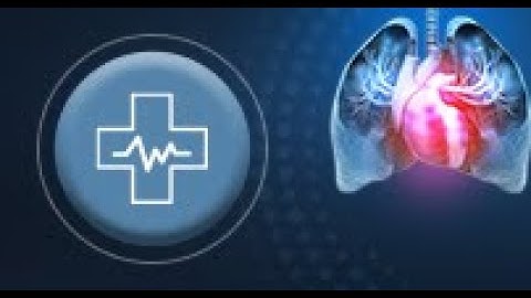 A Closer Look at PAH Diagnosis, Screening, and Risk Assessment