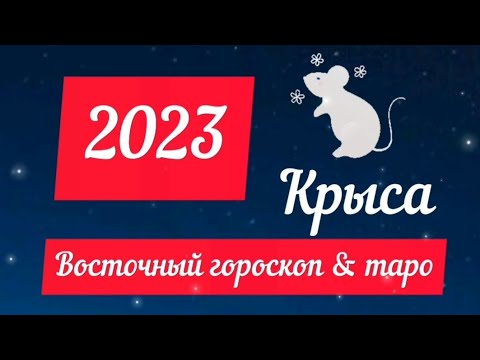 Самые умные мыши. Крыса прогноз. 2020 год крысы. Крыса прогноз. Год крысы.