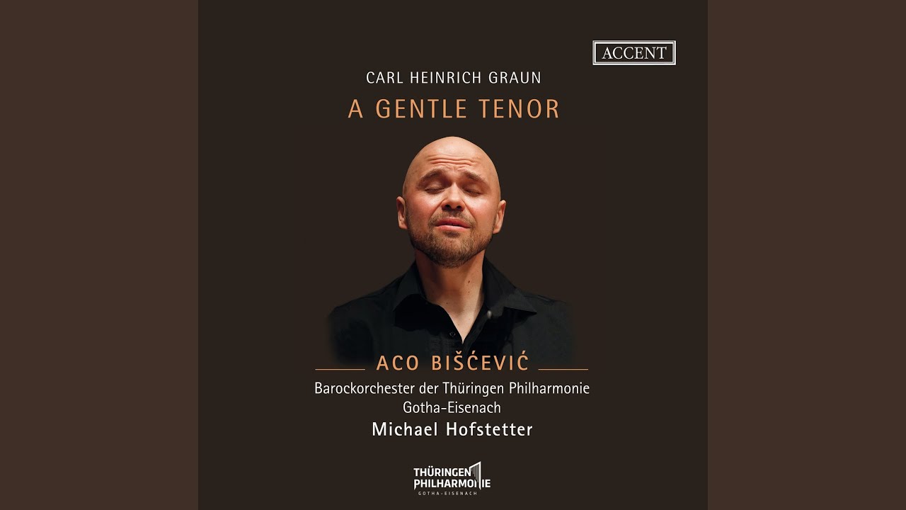 Agitata alma mia: No. 2, Ahi che crudel martire