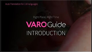 20191125 VAROGUIDE INTRO - English