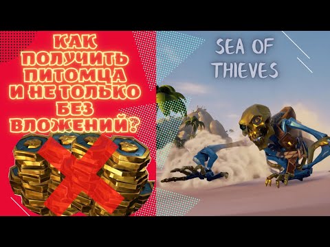 Как БЕСПЛАТНО получить питомца в Sea of thieves и не только | Гайд sea of thieves
