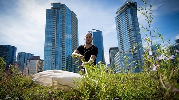 Exploring biodiversity on Canada’s largest green roof