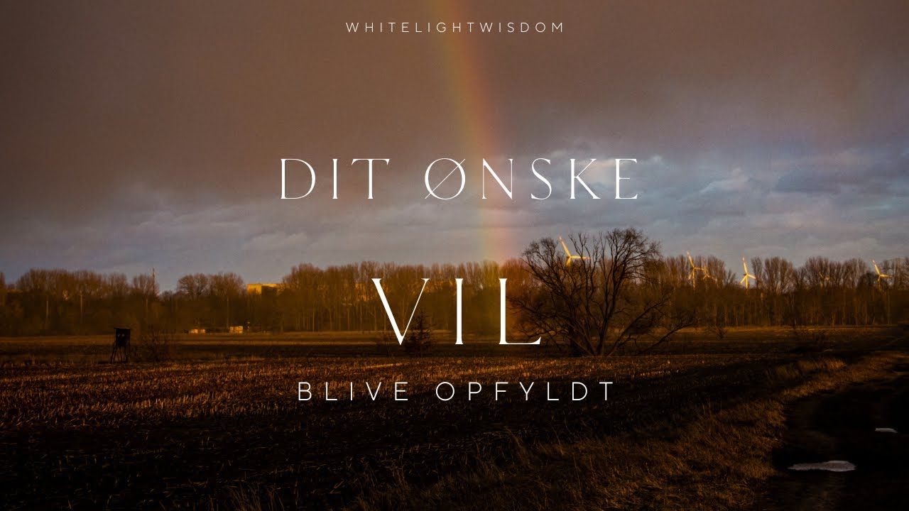 DkDit ØNSKE VIL blive OPFYLDT.! 💫✨🥰✨💫 (tidsløs)🎇ElskTarot🎇