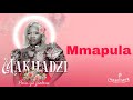 Makhadzi  mmapula official audio visualizer feat dj call me