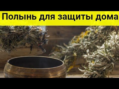 Полынь для защиты дома