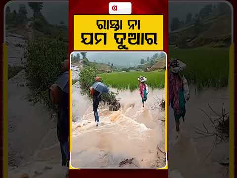 ରାସ୍ତା ନା ଯମ ଦୁଆର | Roads Turn Into Death Traps Due To Heavy Rain & Flash Floods | Argus News