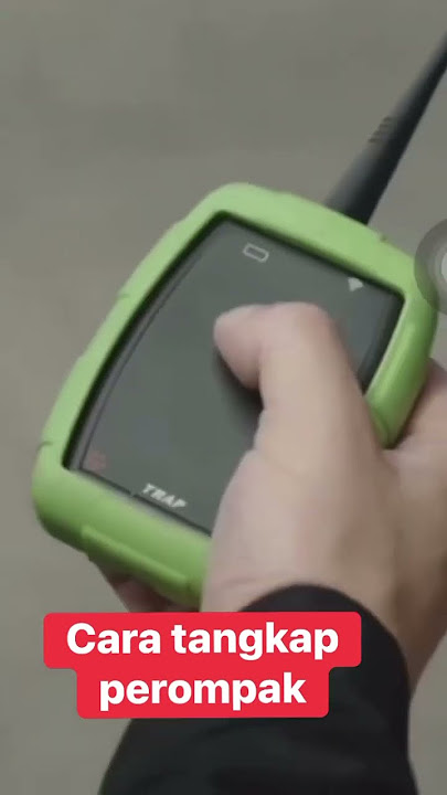 Dekat luar negara memang guna macam tangkap perompak