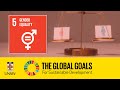 Sustainable Development Goal 5 - Gender Equality - Eileen Baldry & Leisa Sargent