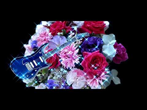 極楽とんぼ!!!!バラの刺青!!!!結婚したいの!!!!入れ墨ラテン歌謡!!!! バラの刺青（The Rose Tattoo）/ シモイサウンド - YouTube