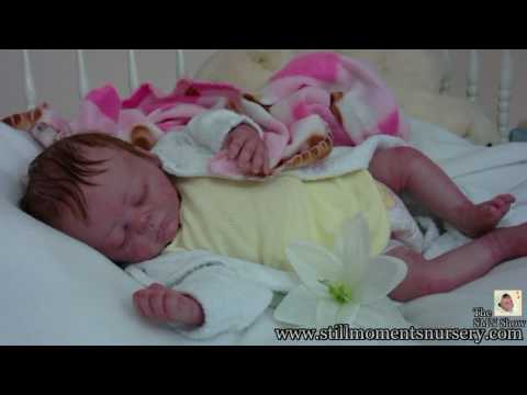 Reborn Baby Girl Anastasia by Nikki Holland Presen...