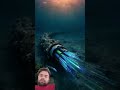 99% internet data trevel in the ocean 🪸!! #facts #viral #geography #ytshorts
