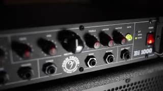 Form Factor Bi1000 La Bella Olinto P Bass Direct