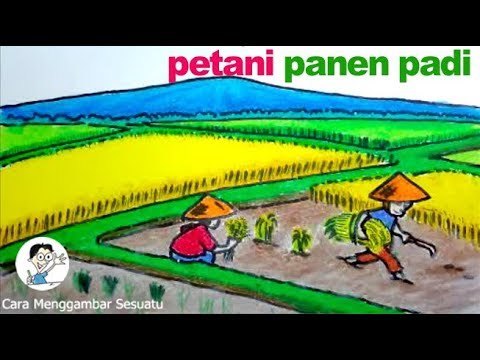 cara menggambar petani panen padi  YouTube