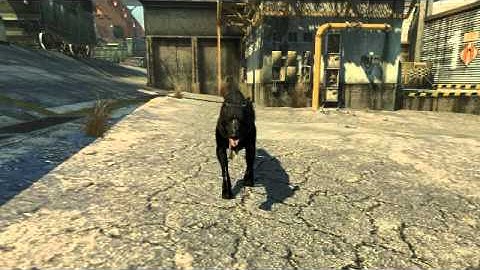 Black Ops - Tomahawk Attack Dog