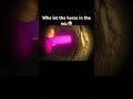 Who let the horse in the mic#shorts #viralshorts #vr#funmonkey #funny #funnyshorts