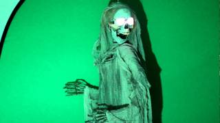 Animated Ghastly Reaper with Spooky Sounds Halloween Prop #halloween