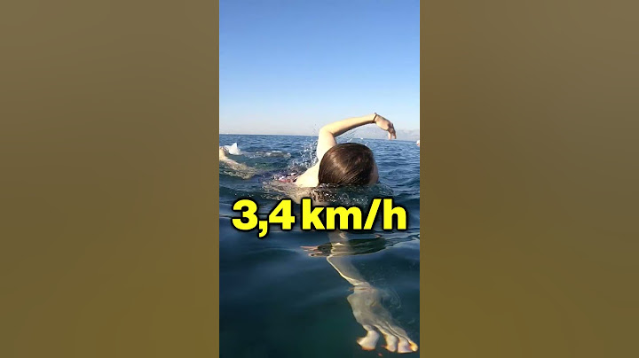 Traverser l'OCEAN ATLANTIQUE à la NAGE ?