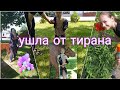 влог#сбежаласдетьмиотмужатирана//в больницу только узнать вес//прививкам нет 😡🤬