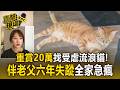 重賞20萬找天使貓！收養受虐流浪橘貓「阿咪」從家中溜出 伴老父六年失蹤全家急瘋【直擊現場】