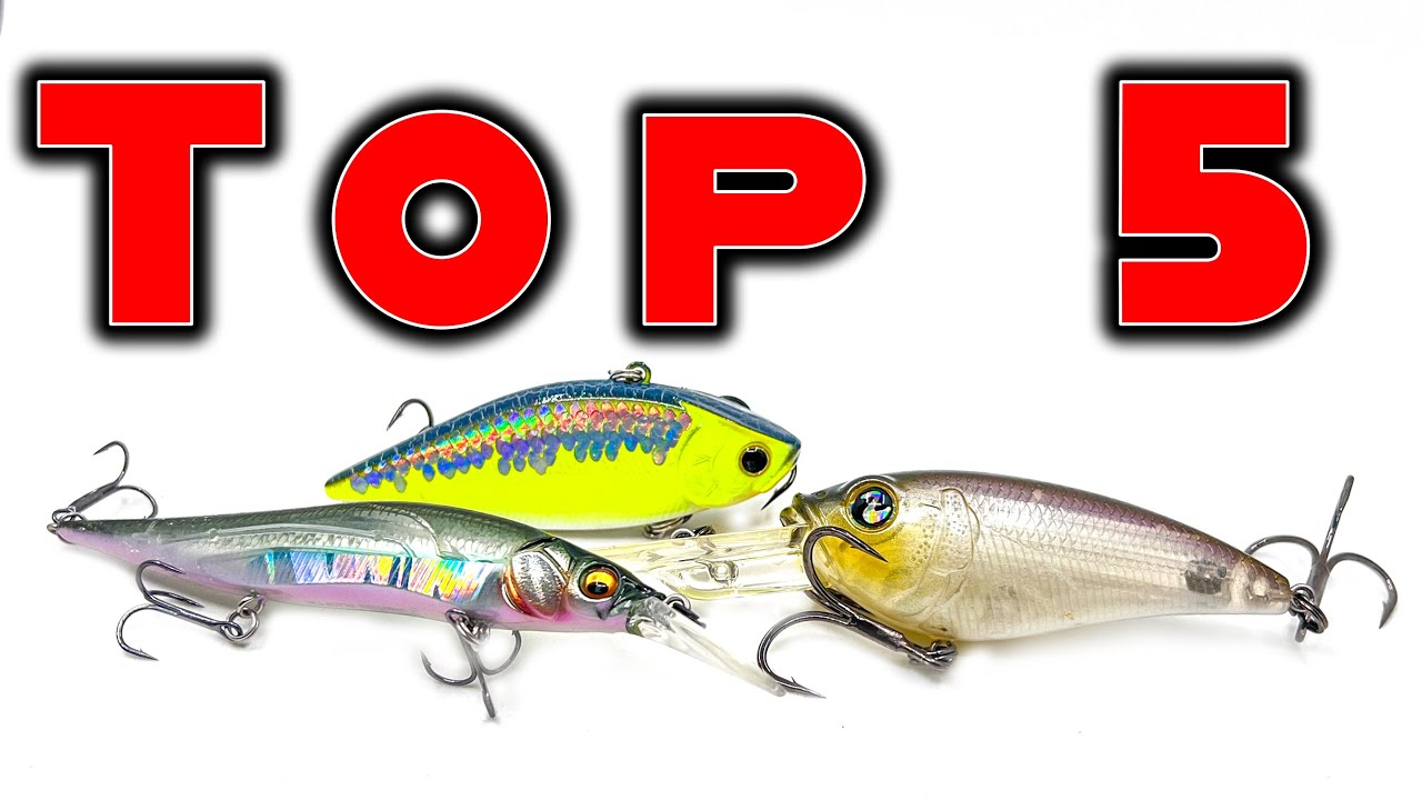 Fishing with Lures for Beginners - When to Use (Underwater Fishing Lures) 
