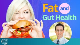 How Eating Fat Affects Gut Health | Dr. Will Bulsiewicz Live Q&A on The Exam Room