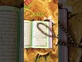 SURAH MOMINOON AYAT 109-116 QURAN URDU TRANSLATION#youtubeshorts#viral#trending#shorts