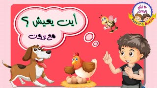 تعليم الاطفال اسماء مساكن الحيوانات | بيوت الحيوانات | اين تعيش هذه الحيوانات | قناة يزون