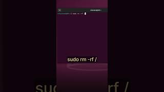 sudo rm -rf / screenshot 4