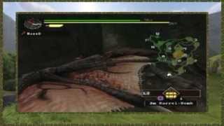 Monster Hunter - Quest 29.5 King of the Sky!